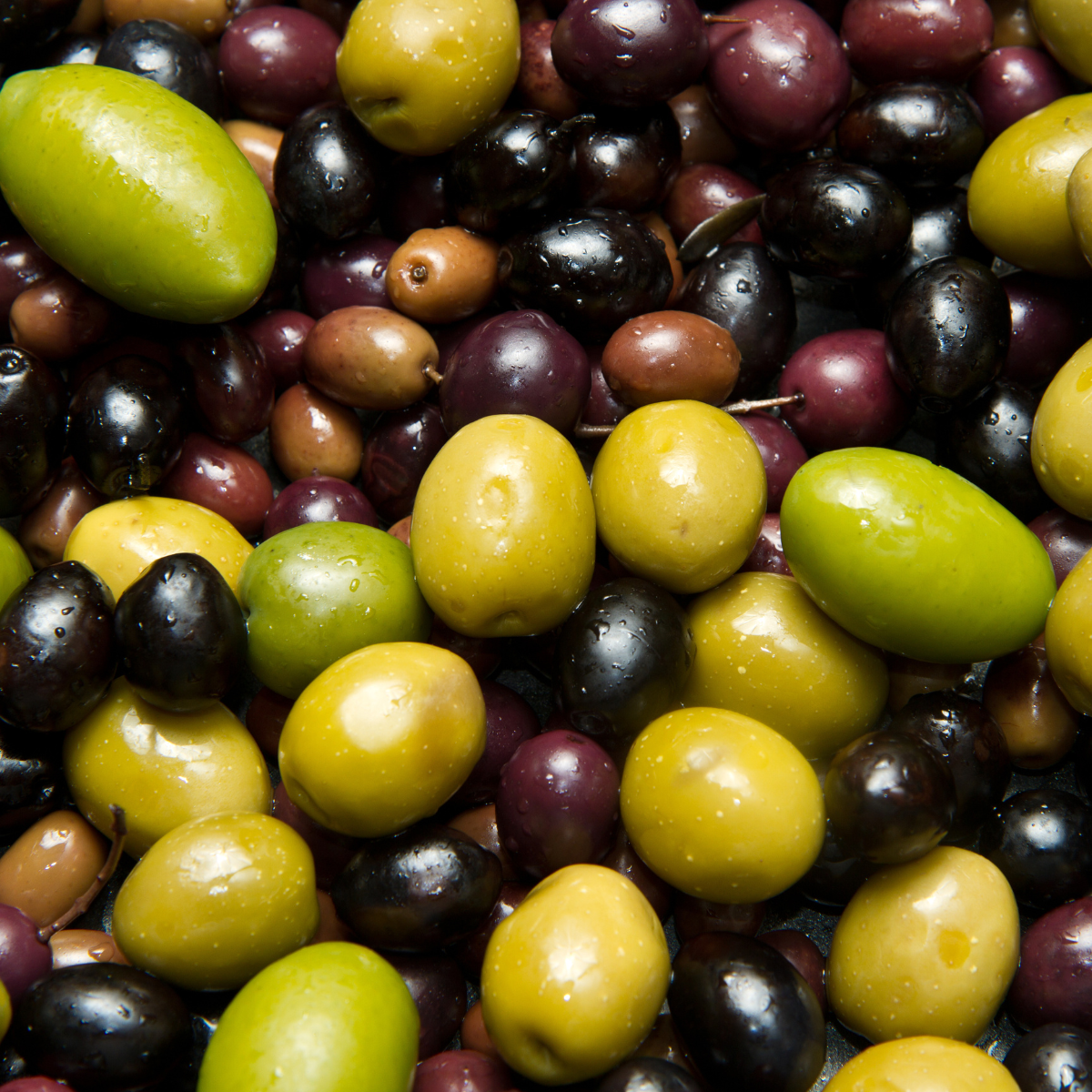 Natural Purple Olives | 26.28 oz | Moroccan Olive Grove