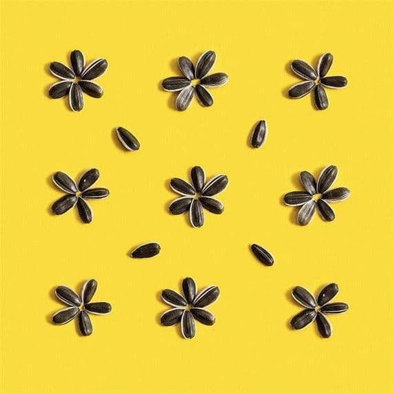 Sunnys Sunflower Seeds | No Salt | 7 oz - ShopGalil