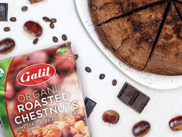 Chocolate Chestnut Cake