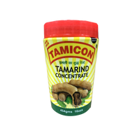 Tamarind Paste | 14 oz | Tamicon