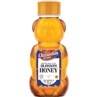 Chasadim Blossom Honey 12 oz