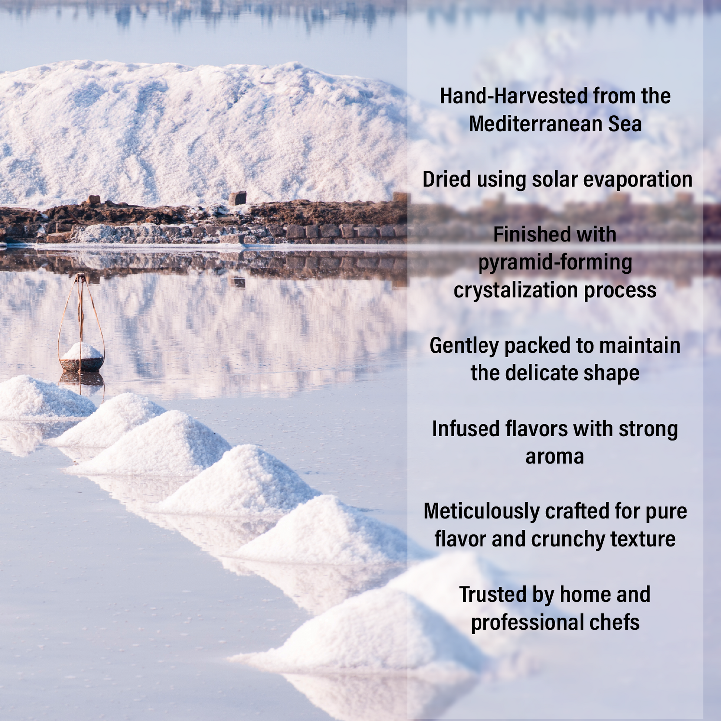 Gourmet Natural Sea Salt, Sea La Vie