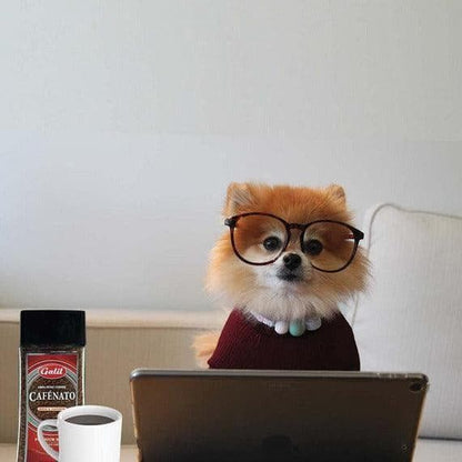 100% Pure Instant Coffee Crystals | Cafénato | 7 oz | Galil - ShopGalil