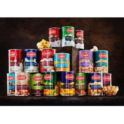 Mandarin Oranges | Wholes in Light Syrup | 11 oz | Galil - ShopGalil